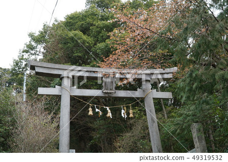 高知縣安紀郡安田町小峰神社的山櫻和鳥居 49319532