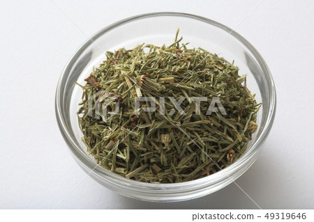 “草本”馬尾 “草本”馬尾 49319646