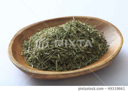 "Herb" Horsetail "Herb" Horsetail 49319661