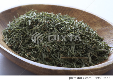 "Herb" Horsetail 49319662