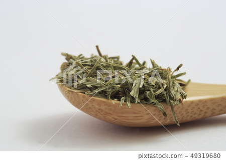 “草本”馬尾 49319680