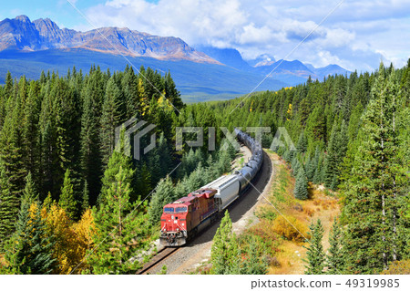 Train passing in Banff National Park,Canada 49319985