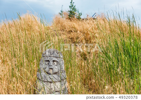 Ancient stone idol of Khortytsia island, Ukraine Ancient stone idol of Khortytsia island, Ukraine 49320378