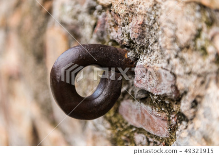 Old horse tie ring in the old town of Caceres. 49321915