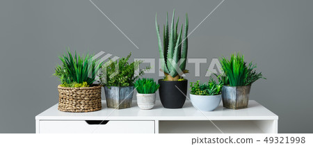 Home gardening concept Home gardening concept 49321998