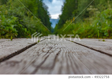 Wooden health trail in the mountain out of focus in the midst of green forests. 49322758