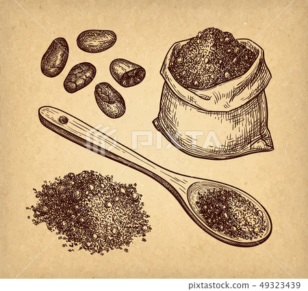 Ink sketch of cocoa. - Stock Illustration [49323439] - PIXTA