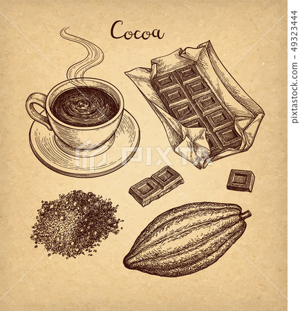 Cocoa and chocolate set. 49323444
