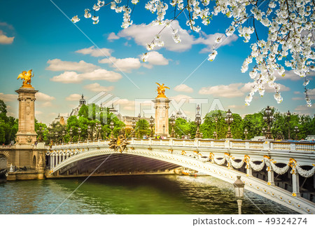 Bridge of Alexandre III in  Paris, France 49324274