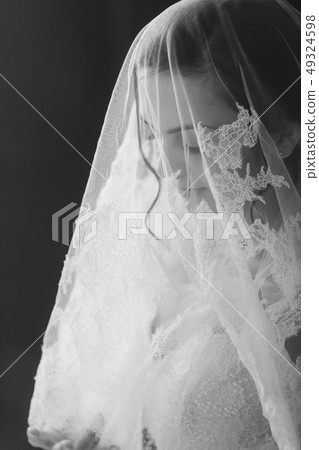 Beautiful bride portrait with veil over face 49324598
