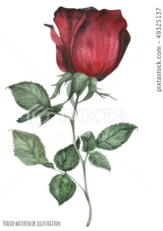 Red garden smoked rose Red garden smoked rose 49325137