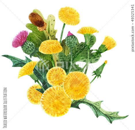 Scottish wild plants boutonniere 49325341