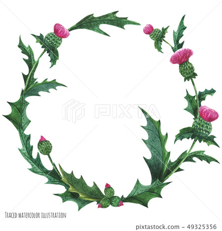 Wreaths from thistle for decoration Wreaths from thistle for decoration 49325356
