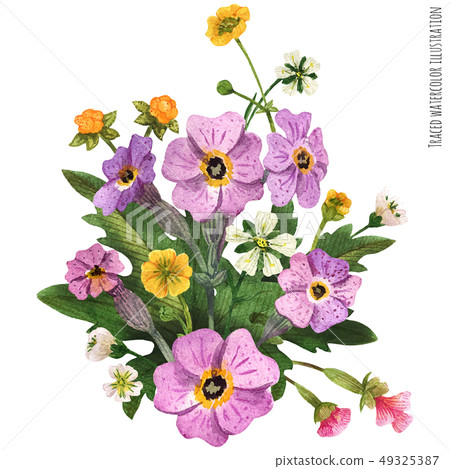 Scottish wild plants boutonniere 49325387