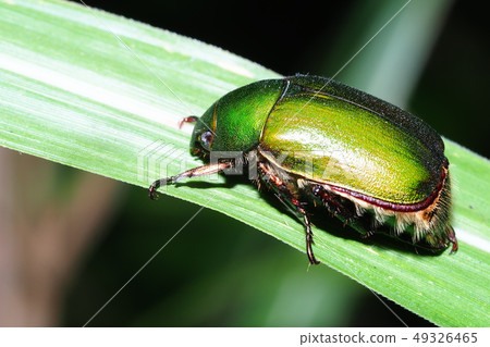 很棒的玻璃 很棒的玻璃 49326465