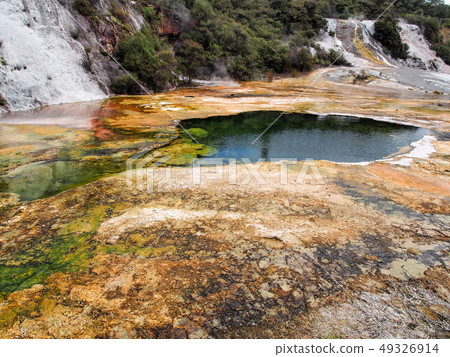 Orakei Korako洞穴和溫泉公園/ Orakei Korako地質公園 Orakei Korako洞穴和溫泉公園/ Orakei Korako地質公園 49326914