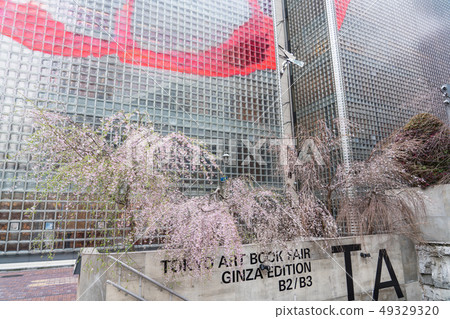 櫻花在銀座索尼公園 櫻花在銀座索尼公園 49329320