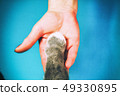 The hands of the family and the furry paw of the cat as a team. Fighting for animal rights, helping 49330895