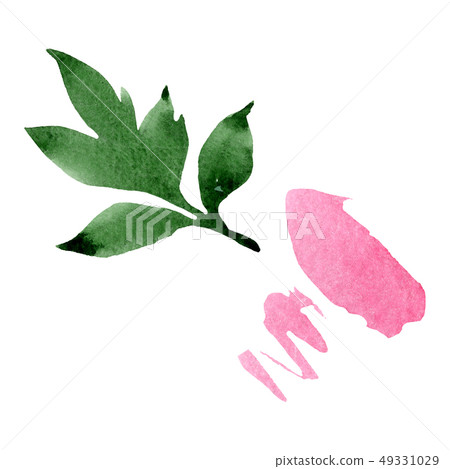 Peony green leaves floral flower. Watercolor background illustration set. Isolated peonies Peony green leaves floral flower. Watercolor background illustration set. Isolated peonies 49331029