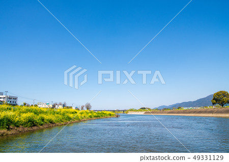 春天Ongagawa和油菜花[福岡] 49331129