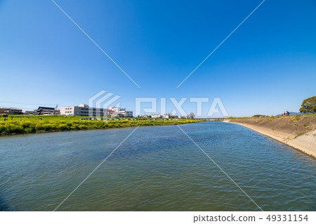 Spring Ongagawa and rape blossoms [Fukuoka Prefecture] 49331154