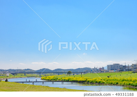 Spring Ongagawa and rape blossoms [Fukuoka Prefecture] 49331188