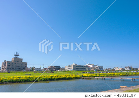 春天Ongagawa和油菜花[福岡] 49331197