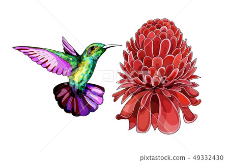 Cartoon halftone with Etlingera Elatior flower. Vector hand drown colored sketch 49332430