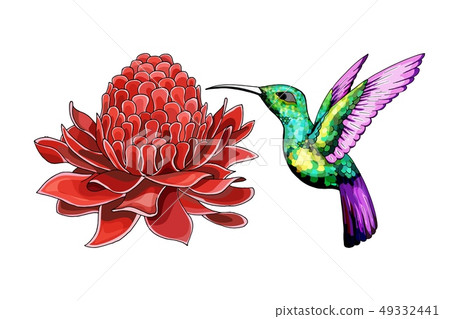Cartoon halftone with Etlingera Elatior flower. Vector hand drown colored sketch 49332441