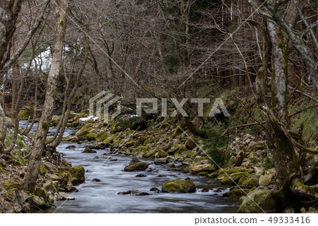 Mountain stream Mountain stream 49333416