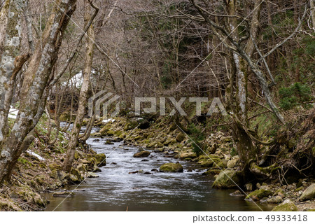 Mountain stream Mountain stream 49333418