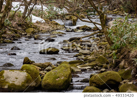 Mountain stream Mountain stream 49333420