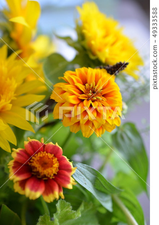 Sunflower and marigold bouquet 49333588