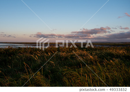Susukino Prairie Hokkaido Notsuke Peninsula Susukino Prairie Hokkaido Notsuke Peninsula 49333832