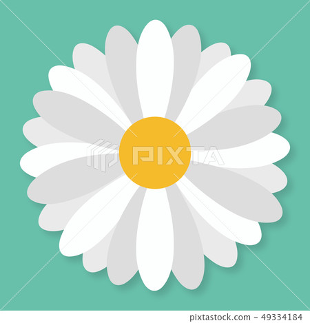 Daisy flower in flat style. Vector simple...-插圖素材 [49334184] - PIXTA圖庫
