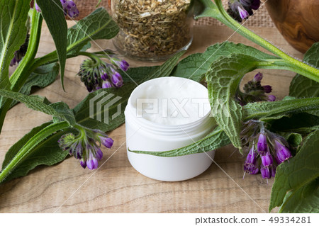 A jar of comfrey cream with fresh symphytum plant 49334281