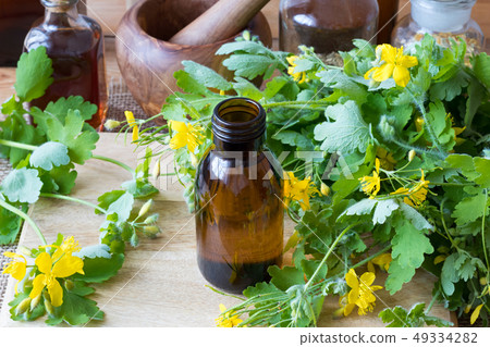 Greater celandine tincture with fresh Chelidonium 49334282