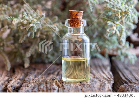 A bottle of santolina essential oil  49334303