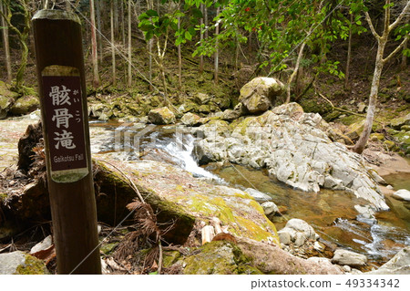 Skeleton Waterfall Akame Shijuhachitaki三重縣 49334342