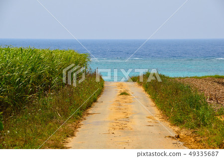 Iriomote Island Iriomote Island 49335687