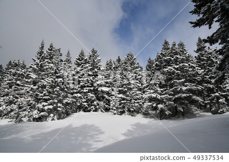 Nishi Hotaka of winter Nishi Hotaka of winter 49337534