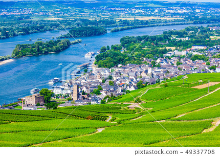 Rudesheim am Rhein Vineyards, Germany 49337708
