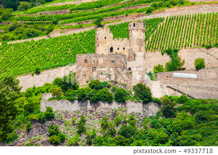 Burg Ehrenfels Castle in Rudesheim Burg Ehrenfels Castle in Rudesheim 49337718