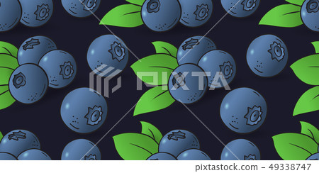 seamless pattern of blueberry with leaves 49338747