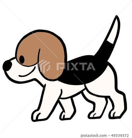 Illustration of beagle dog 49339372