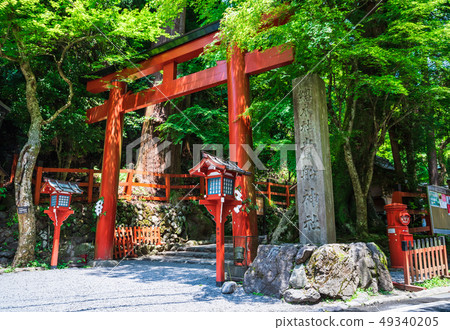 Fresh green Kyoto Kifune Shrine Nio Torii 49340205