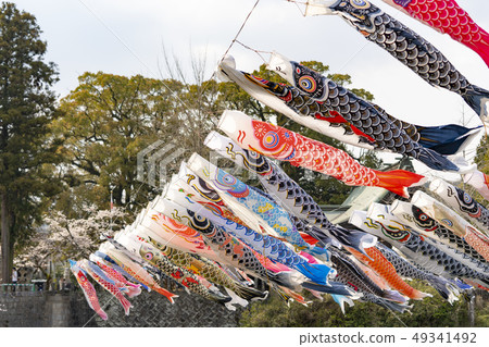 [佐賀縣]川上峽谷的流光 49341492