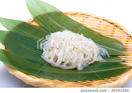 White fish White fish 49342880