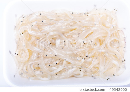 白魚 49342900
