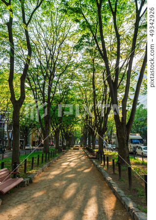 Joshu Temple Street of fresh green 49342926